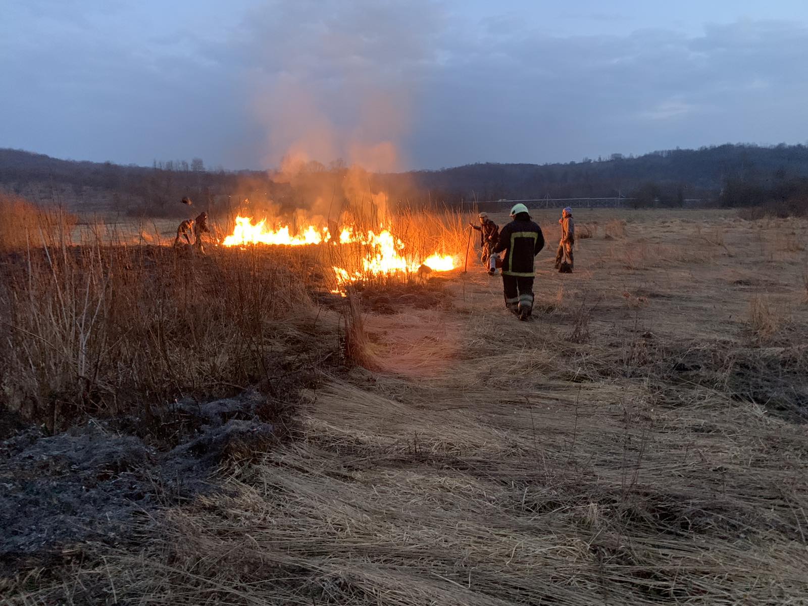 На Закарпатье сгорела знаменитая Долина нарциссов: уничтожено полгектара