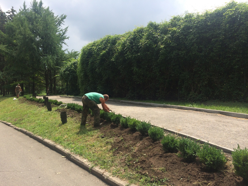 Голова Антикорупційної ініціативи ЄС: лише 19 справ НАБУ щодо корупції отримали рiшення суду