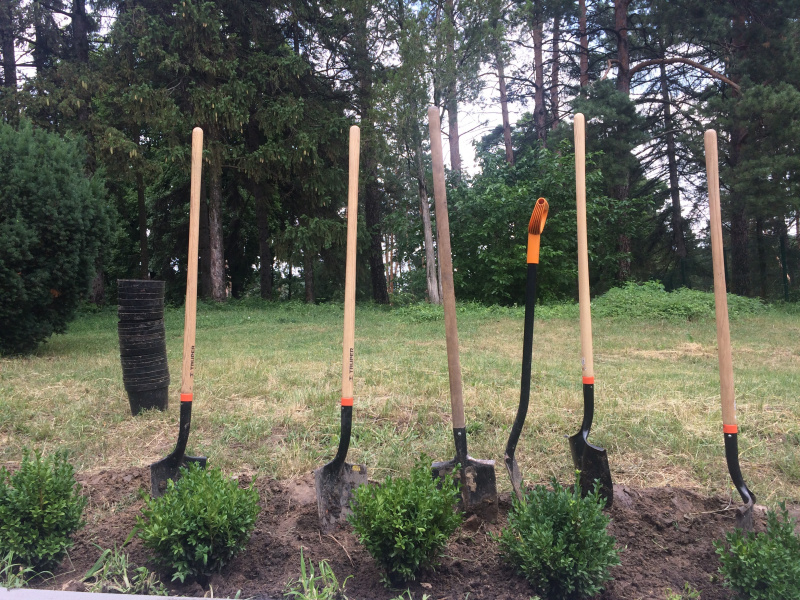 Голова Антикорупційної ініціативи ЄС: лише 19 справ НАБУ щодо корупції отримали рiшення суду