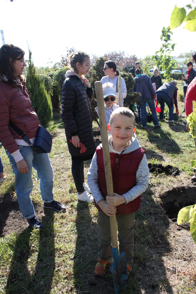 «Купил машину? Посади дерево!»: Тойота-Украина инициировала озеленение Киева