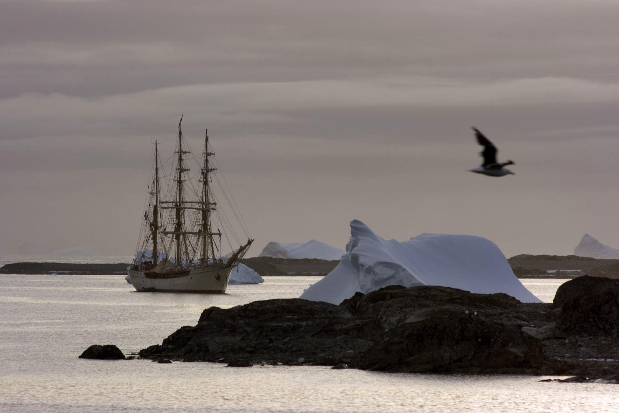 "Гордость Украины": как наши ученые проводят уникальные исследования в Антарктиде