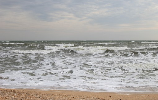 Удивительное открытие на дне Азовского моря повергло исследователей в шок: подробности