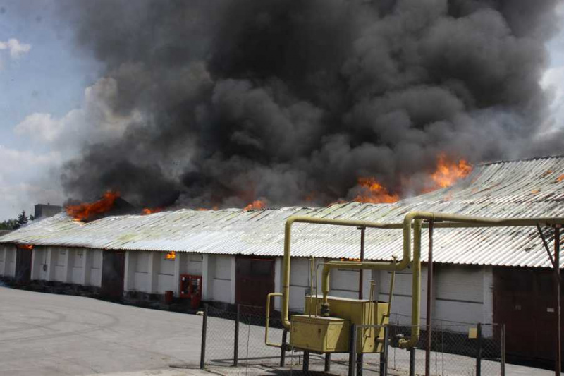 Пожар на зернохранилище в Винницкой области ликвидирован, - ГСЧС