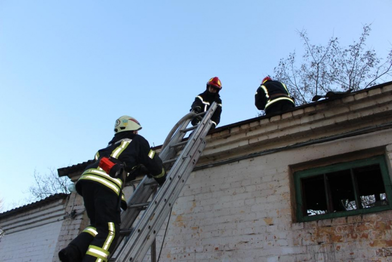 В Киевском зоопарке произошел пожар, часть животных эвакуировали