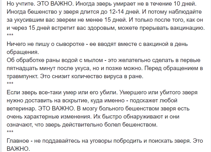 "Меня укусил зверь": врач рассказала, как не стать жертвой бешенства