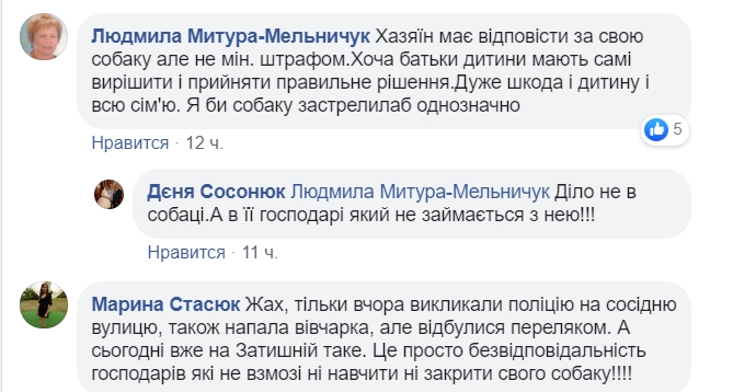 Собака сорвалась с привязи и бросилась на людей: пострадал пятилетний ребенок (видео)