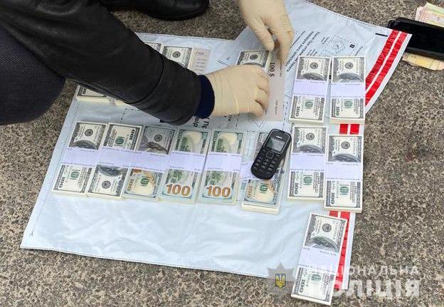 Под Киевом похитили дочь телеведущей ради выкупа: мама девочки записала видео