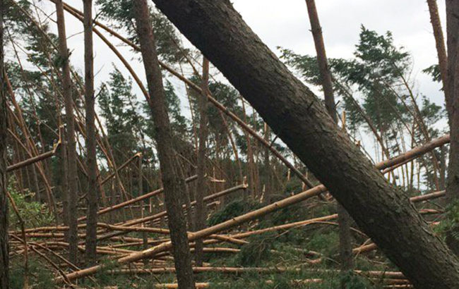 У Польщі в результаті ураганів загинули 5 осіб