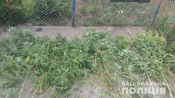 В Нікополі затримали членів банди "Біле братство" та оголосили підозру працівникам поліції