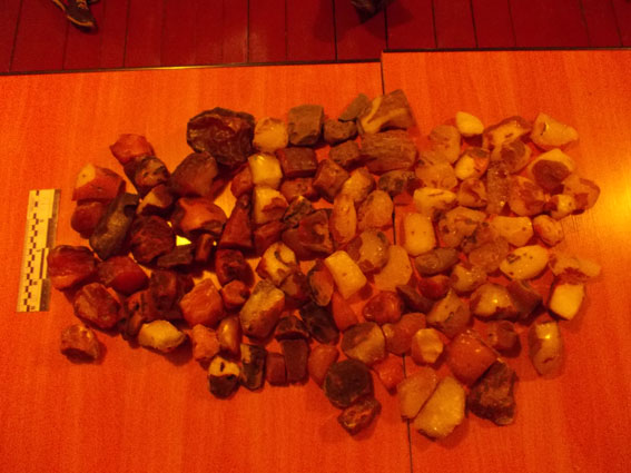 В Ровенской области полицейские изъяли более 9 кг янтаря