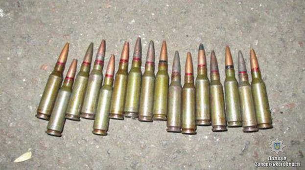 У Запорізькій області правоохоронці вилучили у місцевого мешканця арсенал зброї