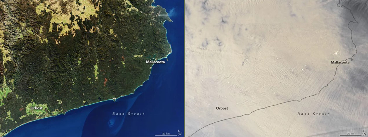 Мощные лесные пожары в Австралии сняли из космоса: масштаб катастрофы поражает
