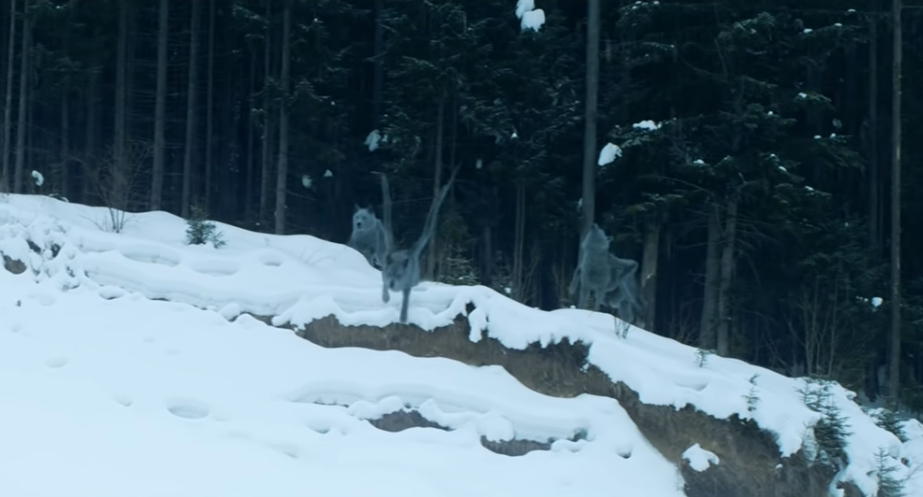 В новом украинском фэнтези снялся американский актер - будущий "Бэтмен"