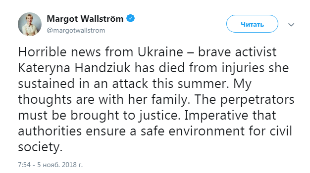 Британія і Швеція чекають забезпечення правосуддя у справі Гандзюк