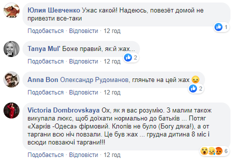 Люкс с клопами за 2 тысячи гривен: Укрзализныця угодила в очередной скандал (фото)