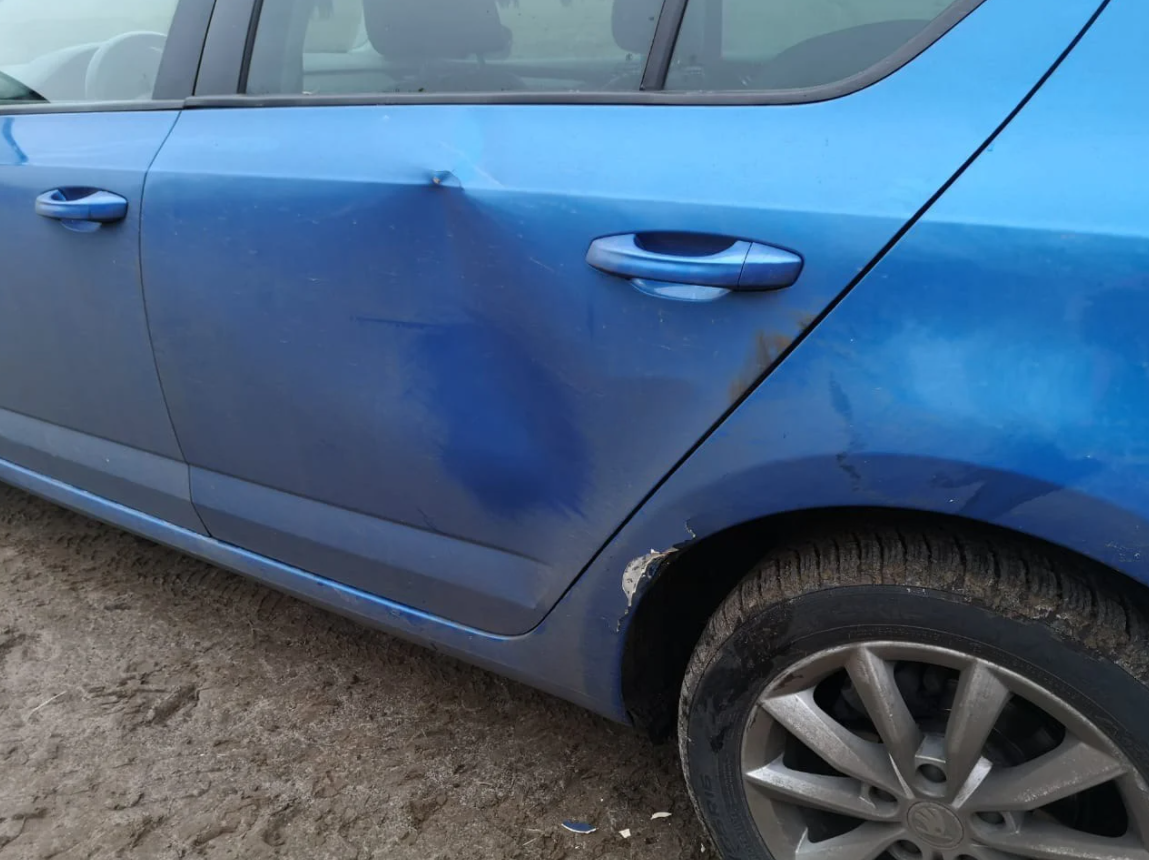 Под Киевом в эко-парке на семью напало стадо бизонов: подробности инцидента