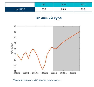 Коли курс долара виросте до 30 гривень: прогноз експертів