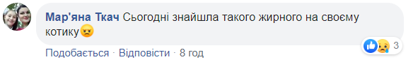 Украинцев предупредили о нашествии клещей из-за аномальной погоды