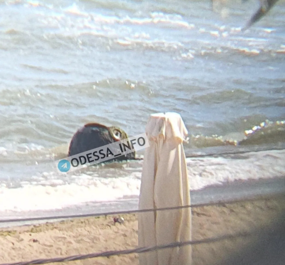 На курорті під Одесою випадково знайшли величезну міну на переповненому пляжі (відео)