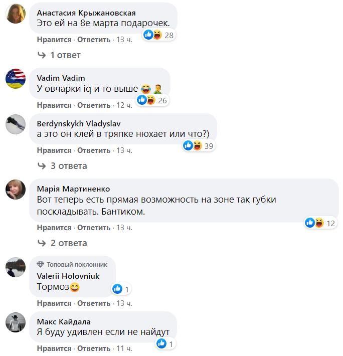 У вівчарки iQ і то вище: у Києві горе-крадій став зіркою соцмереж (відео)