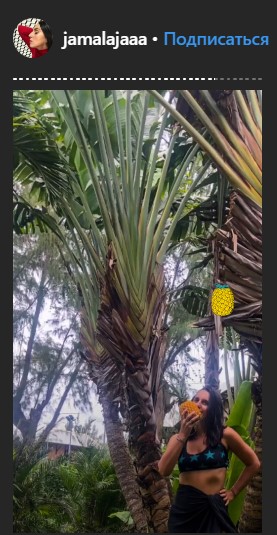 "Вражаюча природа": Джамала похвалилася захоплюючими видами Маврикія (фото)