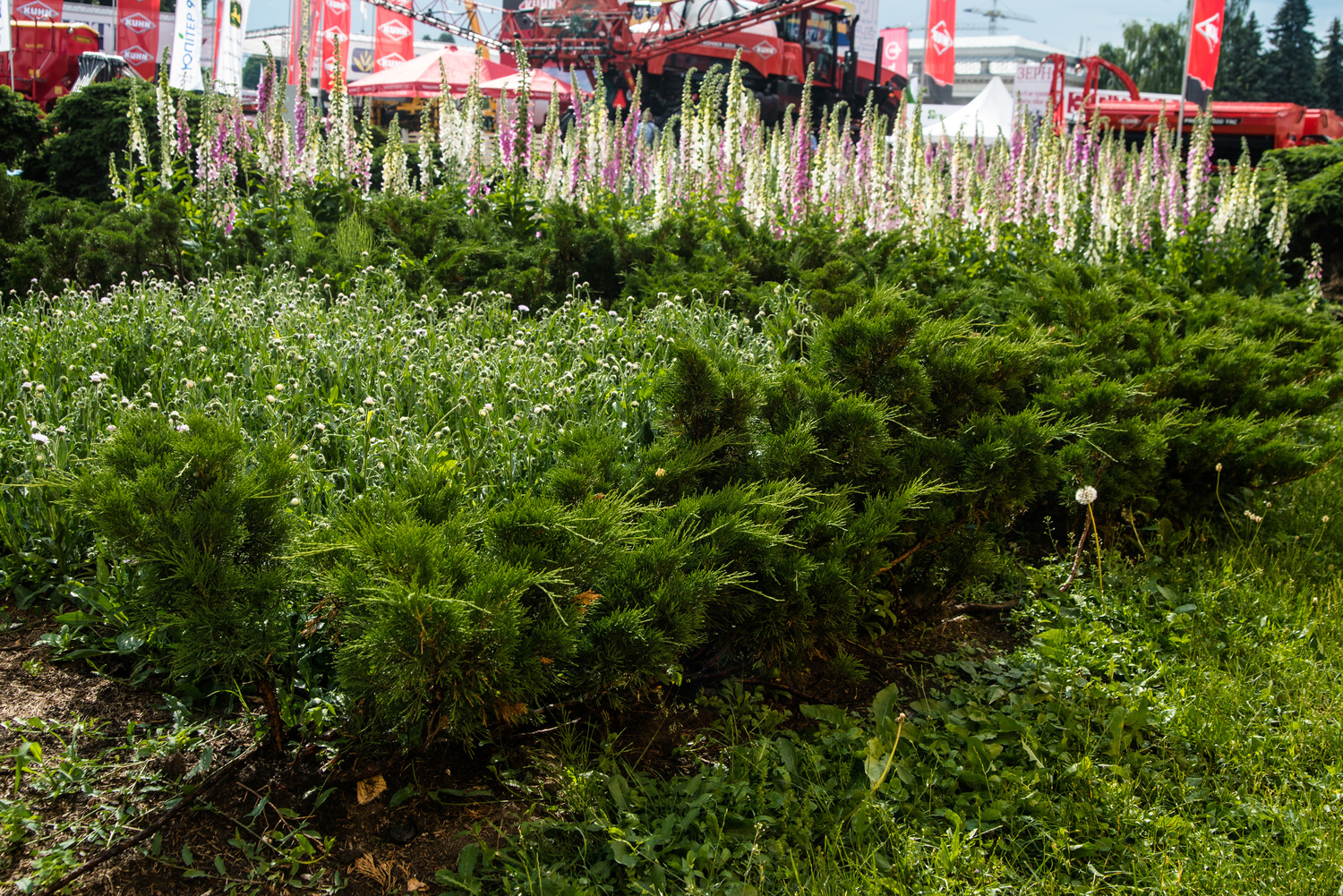 Дайджест новостей от ВДНГ