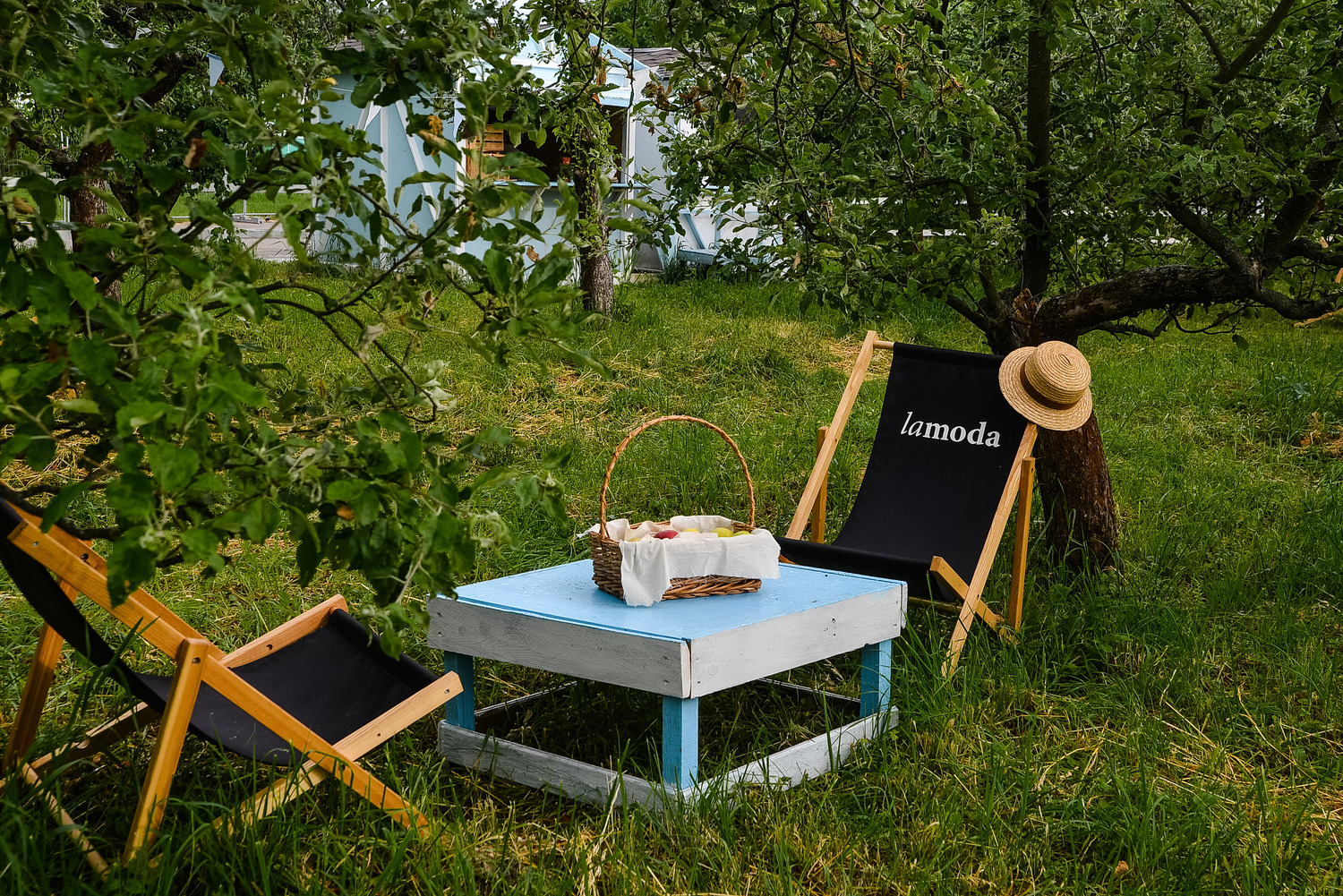 Дайджест новостей от ВДНГ