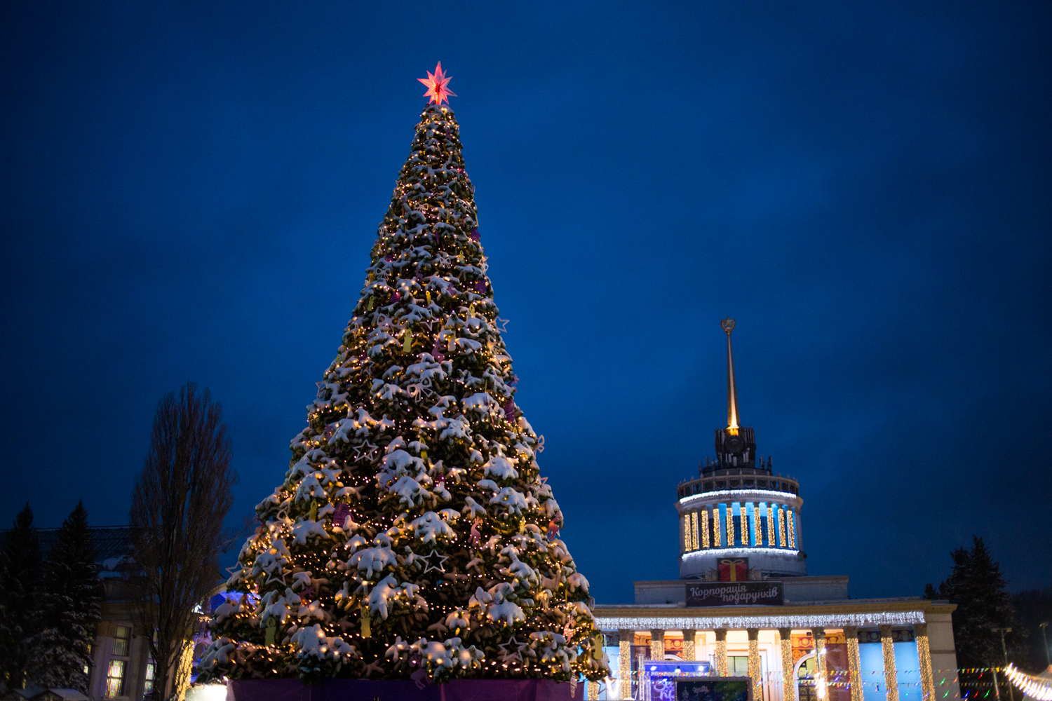 Новый год в Киеве: на ВДНГ устроят крутую праздничную ночь
