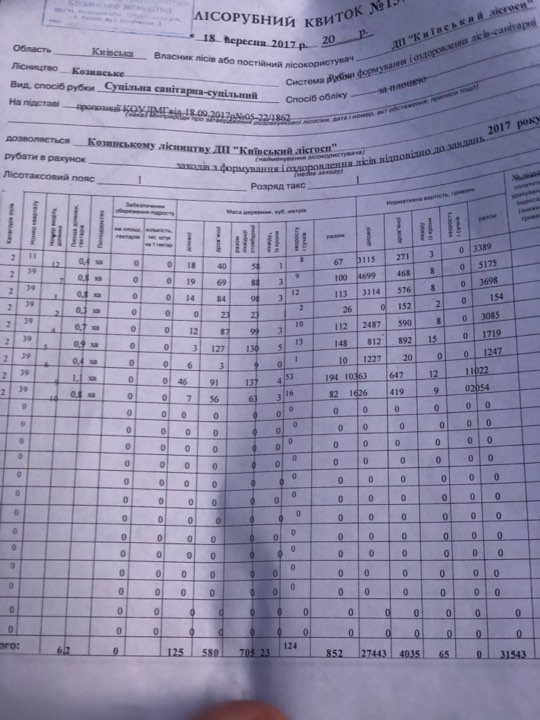 В Киевской области рубят и жгут лес на Новообуховской трассе, - расследование