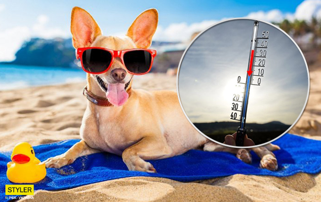 Сухо и жарко не везде: где в Украине будет свирепствовать погода (фото)