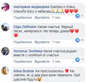 Шукали два роки: мережу розчулило відео зустрічі собаки з господинею в Маріуполі