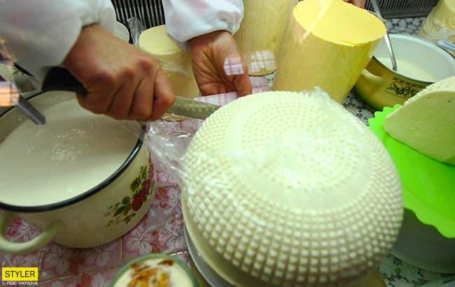 В Украине могут исчезнуть молочные и сырные продукты: в чем причина