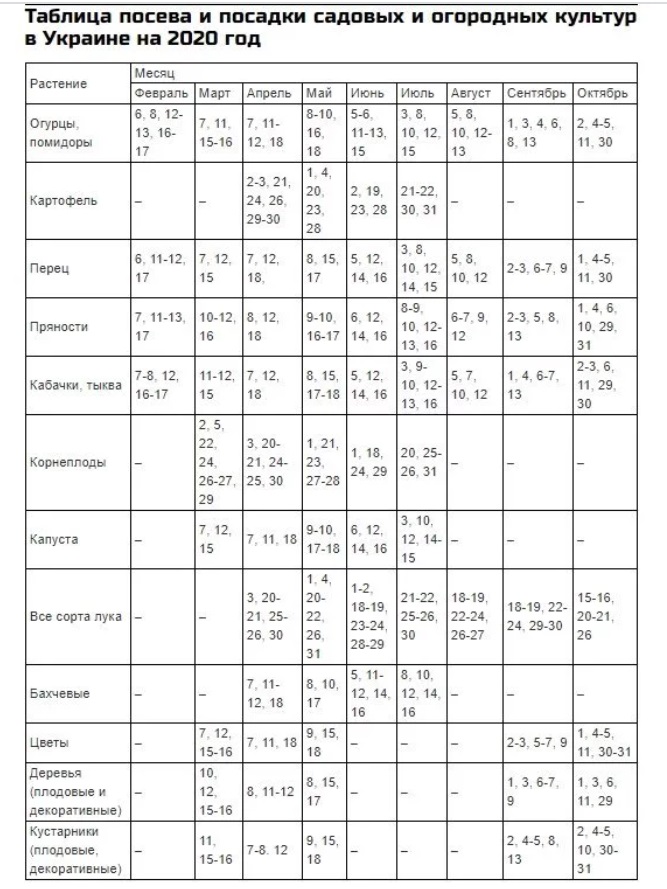 Посевной календарь на май: когда строго запрещено сажать и сеять