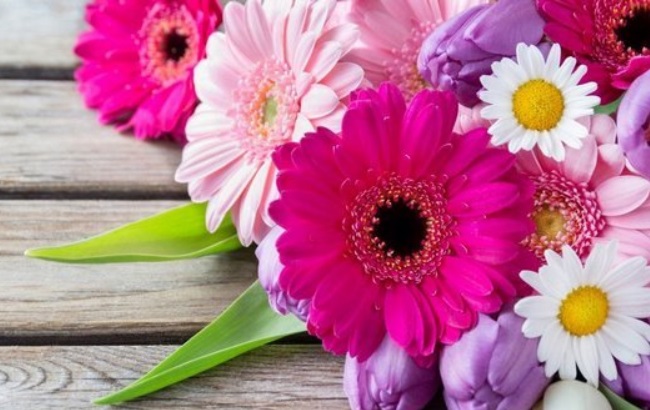 Какие цветы запрещено дарить женщинам в возрасте: могут обидеться