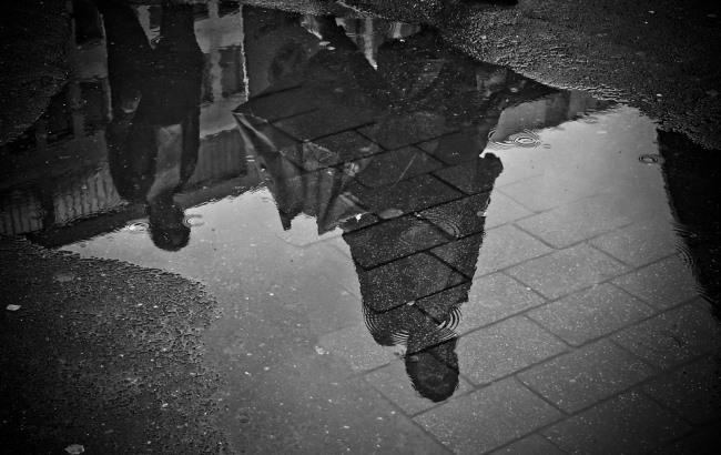 Підсумки дня: 29 грудня