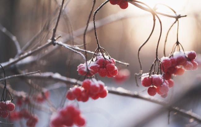 Итоги дня: 26 января