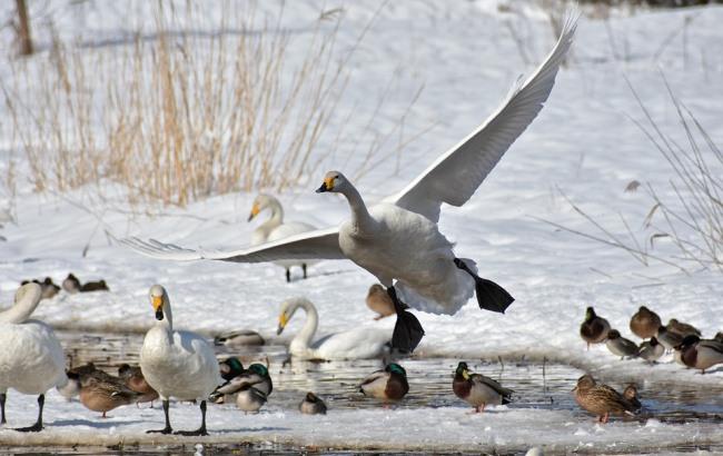 Підсумки дня: 5 лютого