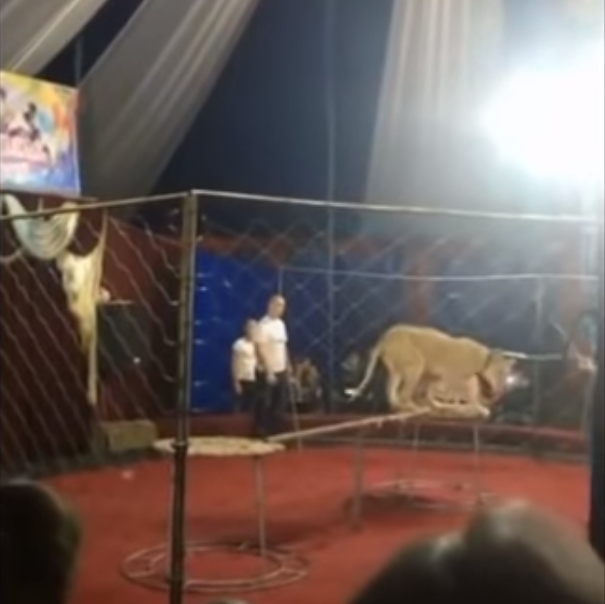 Підсумки дня: 31 жовтня