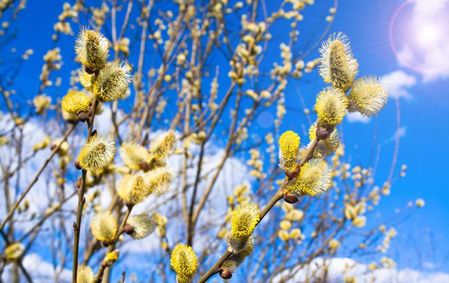 Підсумки дня: 26 березня