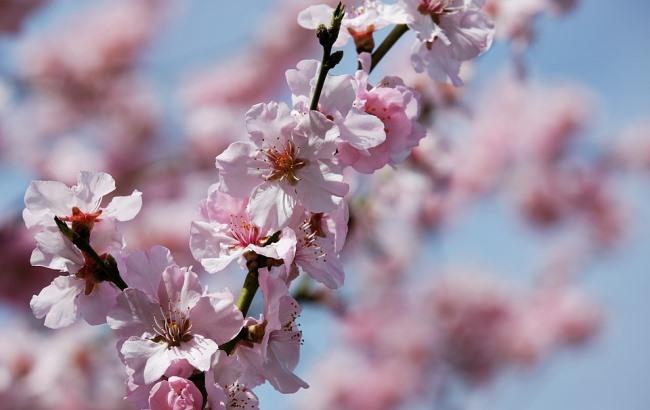 Підсумки дня: 2 квітня