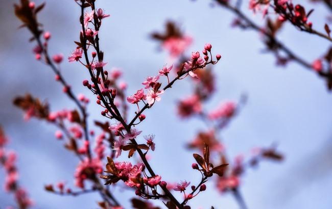 Підсумки дня: 6 квітня