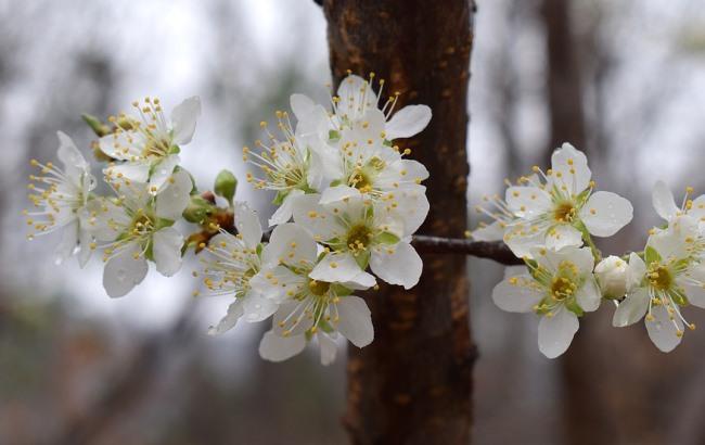 Итоги дня: 16 апреля
