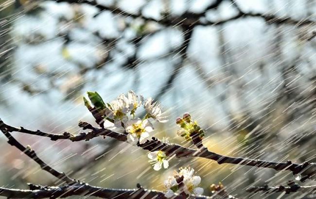 Підсумки дня: 10 травня