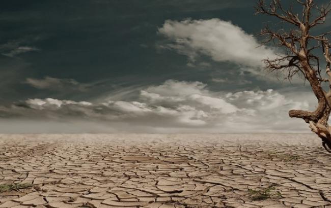 Итоги дня: 15 мая