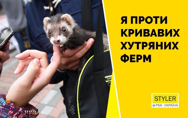 Итоги дня: 4 июля