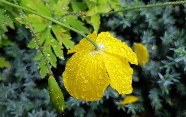 Итоги дня: 6 июля