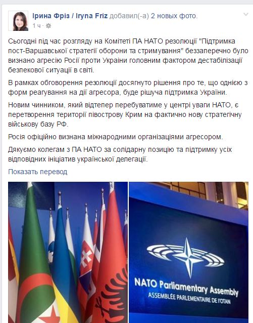 На засіданні ПА НАТО Росію офіційно визнали агресором, - нардеп