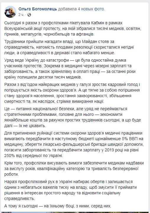 Богомолец под Кабмином: в критической ситуации в стране виновно правительство Гройсмана