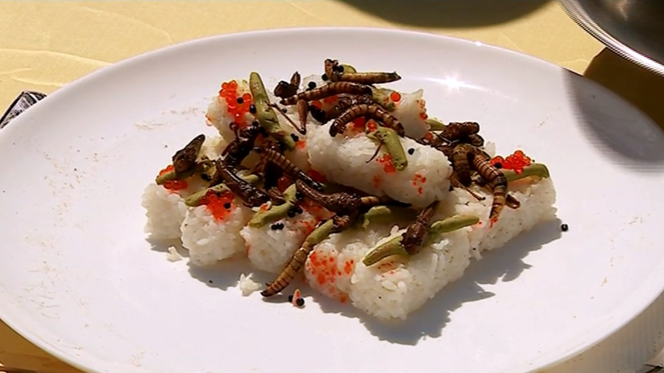 Зважені та щасливі: 8 сезон 8 випуск дивитися онлайн