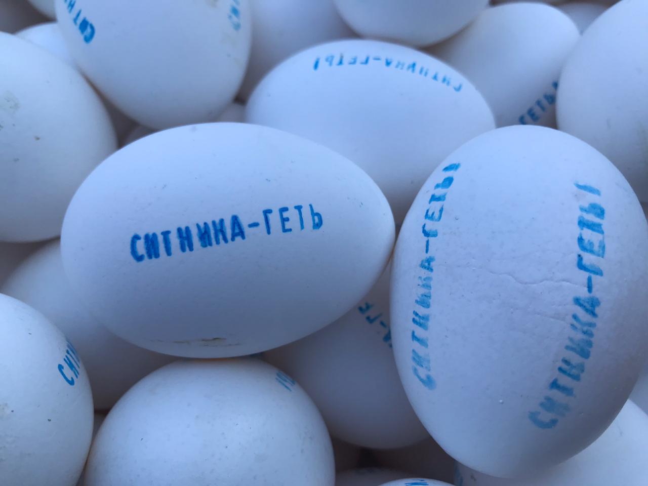 Аграрии вышли на митинг с требованием уволить директора НАБУ